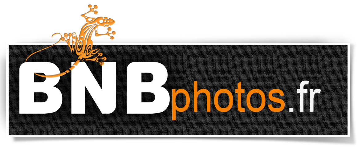 BnB Photographie