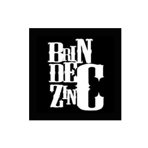 Brin de Zinc